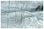 Gullied Crater in Hellas Planitia