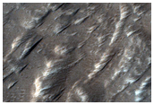 Possible Rootless Vent on Olympus Mons