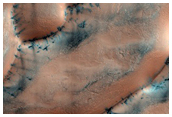 North Polar Gypsum Dunes