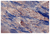 Dark Sediments in the Medusae Fossae Formation