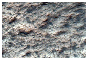 Patch of Rocky Ground