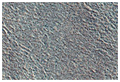 Vastitas Borealis Terrain Survey
