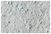 Inflationary Features along Lava Flow Margins in Elysium Planitia