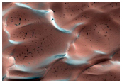 Dunes Dubbed Buzzel