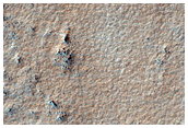 Southern Permafrost Survey