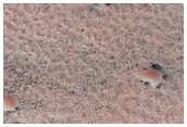 Dunes Dubbed Caladan
