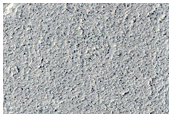Candidate New Impact Site