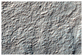 Terrain East of Warrego Valles