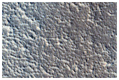 Possible Terraced Crater in Arcadia Planitia