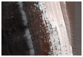 Avalanche Monitoring at Steep North Polar Scarp of Original Discovery