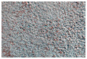 Northern Plains Defrost