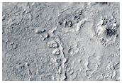 Circular Features in Cerberus Palus