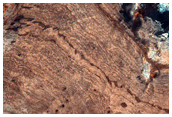 Layer and Color Boundaries at Mawrth Vallis