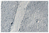 Crust and Wake on Athabasca Valles Lava