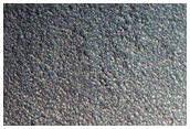 Gully Monitoring