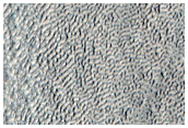 Ice-Rich Lobate Debris Apron