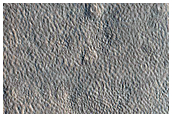 Sample Northern Plains