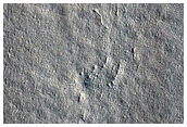 Possible Terraced Crater in Arcadia Planitia
