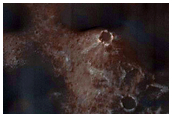 Dune Changes in Meridiani Planum