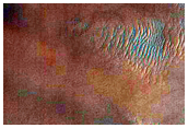 USGS Dune Database Entry Number 3124-080