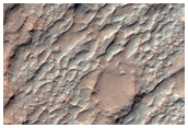 Putative Chlorides in Intra-Crater Plains