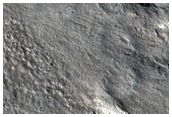 Secondaries of Very Fresh Crater