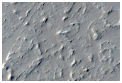 Candidate New Impact Site