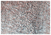 Dune Field in Viking 516B35