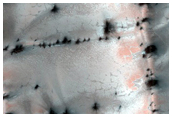 Dune Field