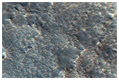 Gullies in a Thick Mantle in Mareotis Fossae Region