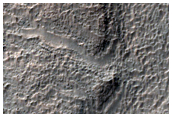 Short and Shallow Fresh Valley
