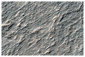 Inverted Terrain in Terra Sirenum