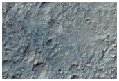 Irregular Patches of Rocky Ground