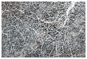 Northern Plains Defrost