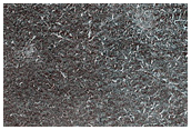 Frost Enhancement of Polygon Visibility in and Near MOC M19-00176