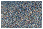 Vastitas Borealis Terrain Sample