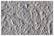 Candidate New Impact Site