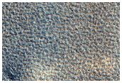 Northern Plains Sample