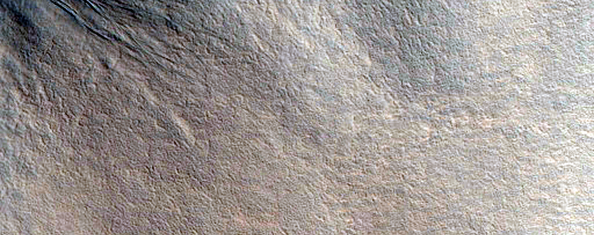 Gullies in Crater in Acidalia Planitia