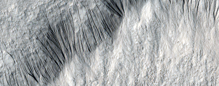 Gully Monitoring