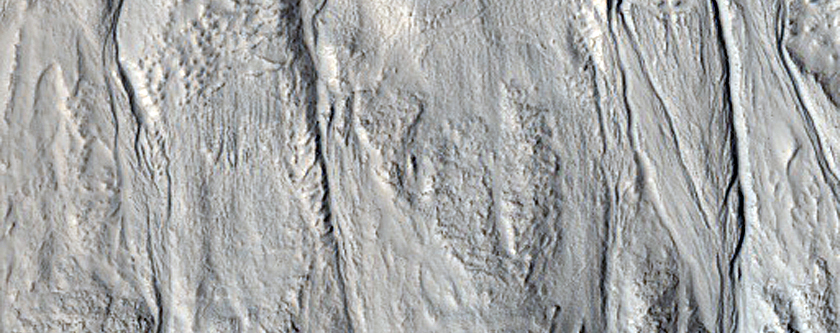 Gully Monitoring