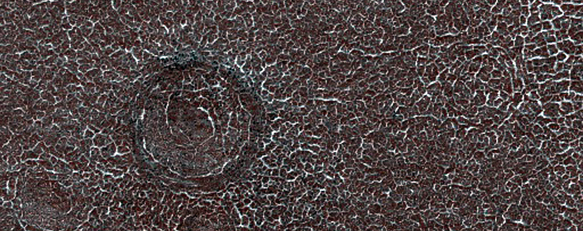 Frost Enhancement of Polygon Visibility Near MOC S18-00731