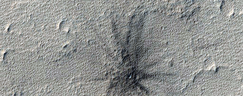 Candidate New Impact Site
