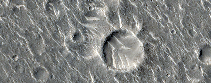 Des crtes dans Isidis Planitia