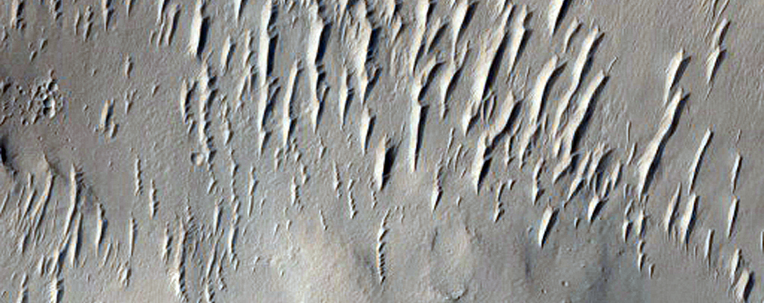 Valleys and Fan Feature at Valley Terminus in Crater