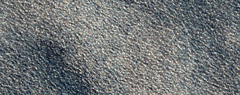 Northern Terrain Survey
