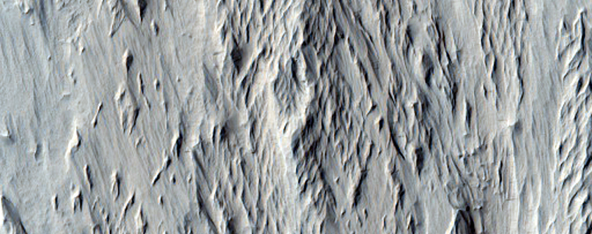 Terrain in Amazonis Planitia