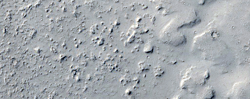 Kanały na płaskowzgórzu w południowej części równiny Elysium Planitia