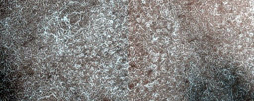 Northern Plains Terrain