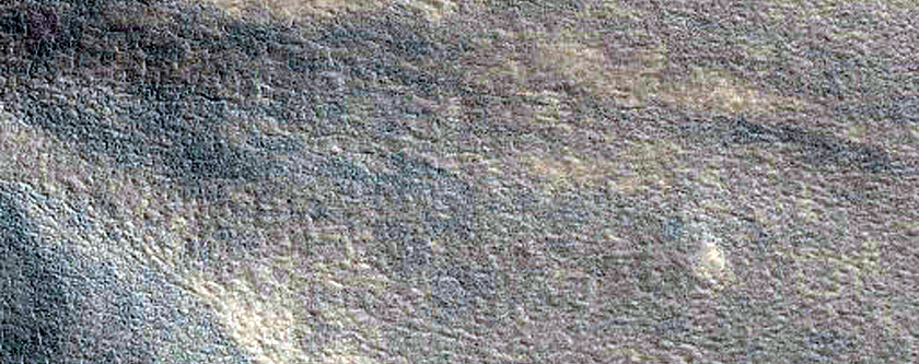 Gully Monitoring